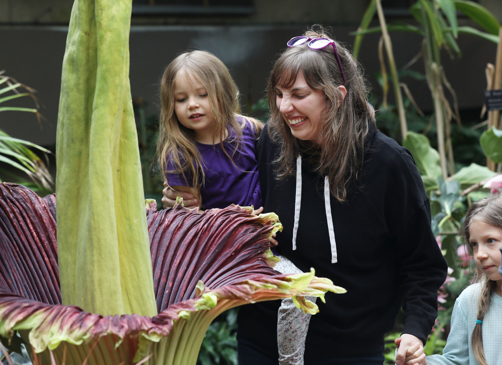 Corpse flower
